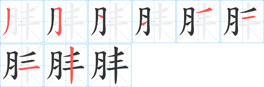 肨的筆順筆畫