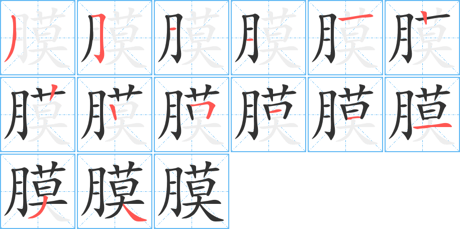 膜的筆順筆畫